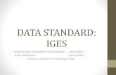 Data standard - IGES