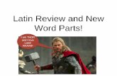 Latin review and new word parts latin 8 intro ms vanko