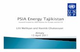 Energy sector in Tajikistan - Poverty and Social Impact Assessment (PSIA)