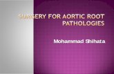 Surgery for aortic root pathologies