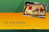 Cell model