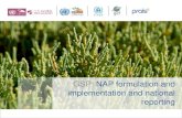 Day 1 UNCCD GSP: NAP formulation and implementation and national reporting