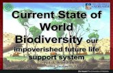 Current State of World Biodiversity: our impoverished future life support system