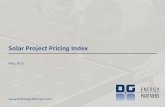 DGEP Project Pricing Index