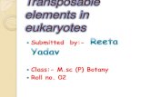 Reeta yadav. roll no. 02. transposable element in eukaryotes.