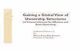 Gaining a Global View of Ownership Structures - Presentation by Barbara R Hauser LLC - Elite Summit
