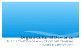 Organi-cultural deviance 2013-  White Collar Crime & Criminality
