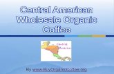 Central american wholesale organic coffee