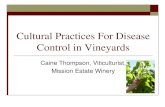 Cultural practices for disease control