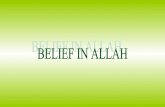 Belief in Allah / Tevhid/English