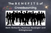 Why To Crowdsource