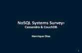 No sql system_survey