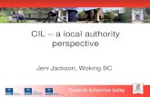 Jeni Jackson, Woking BC: CIL – a local authority perspective