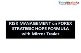 Risk Management with Mirror Trader
