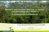 Benefit and burden sharing in forest conservation and REDD+: A conceptual framework