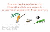 Cost and equity implications of integrating sticks and carrots in conservation programs in Brazil and Peru
