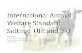 Betsy Flores - International Animal Welfare Standard Setting: The Role of OIE and ISO