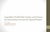 Liquidity Profit Rate Cycles and Chaos