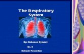 Rebecca dyment respiratory system2