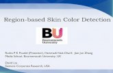 Region Based Skin Color Detection