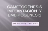 Gametos, Fecun, Implant Y Embrio