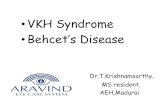 Uveitis in Behcet disease and VKH