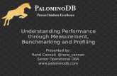 Understanding performance through_measurement