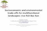 Socioeconomic and environmental trade-offs for multifunctional landscapes: rice-fish Bac Kan