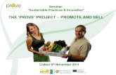 ISLE Professionalization Fair 3. José Diogo: "PROVE - Promoting and selling"