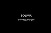 Branding Bolivia