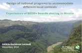 Design of national programs to accommodate different local contexts -  Experiences of REDD+ benefit sharing in Mexico