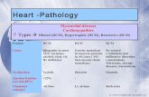 7. heart pathology; myocadial diseases