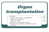 Organs transplant