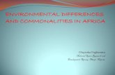Differences and Commonalities in Africa