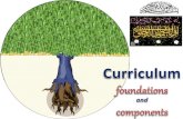 Curriculum foundations and components