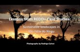 Lessons from REDD+ case studies: Sustainable landscapes in São Félix do Xingu