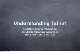 Understanding Telnet