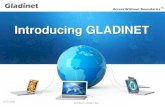 Introduce Gladinet