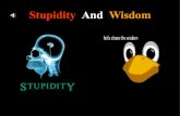 Stupidity And Wisdom