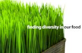 Finding Diversity in Food