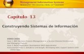 Cap. 13  creacion de un sistema de información - laudon