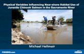 Physical Variables Influencing Near-shore Habitat Use of Juvenile Chinook Salmon in the Sacramento Rivertation