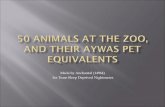 50 animals at the Zoo and Their Aywas Equivalents
