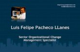 Luis Felipe Pacheco LLanes, Senior OCM