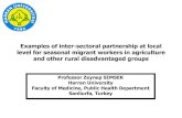 Examples of inter-sectoral partnership at local level for seasonal migrant workers in agriculture and other rural disadvantaged groups