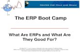ERP Boot Camp Lecture #1