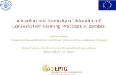 Adoption and Intensity of Adoption of Conservation Farming Practices in Zambia