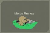 Moles review