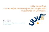 Konferencija Euroguidance centra u Srbiji | Career guidance in secondary schools - Danish model of career guidance in education | Pia Hegner, Youth Guidance Centre, UUV Koge Bugt,