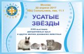 "Usatie Zvezdy" vistavka. Exhibition of rats, hamsters, rabbit, guinea pig in Russia